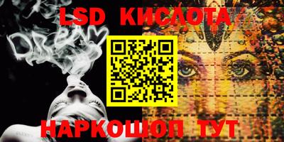 крисы Кингисепп
