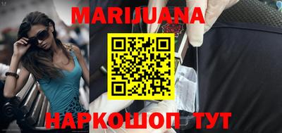 крисы Кингисепп