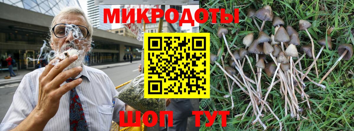 Урус-Мартан  Псилоцибиновые грибы Cubensis  Псилоцибиновые грибы GOLDEN TEACHER  как найти закладки  Вход с VPN 