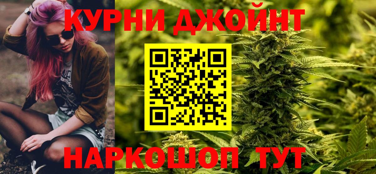 Конопля сатива Урус-Мартан